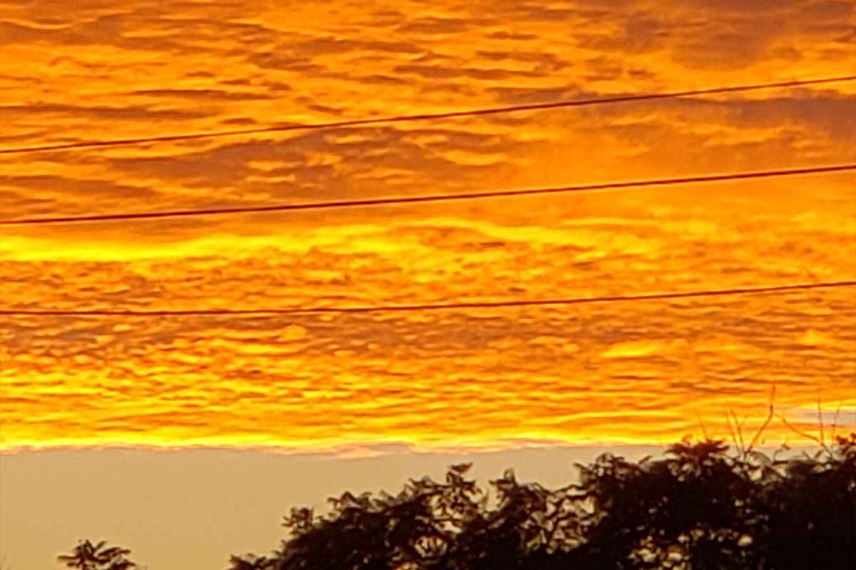 Conversations with Orland, Course 1, Cloud Formations